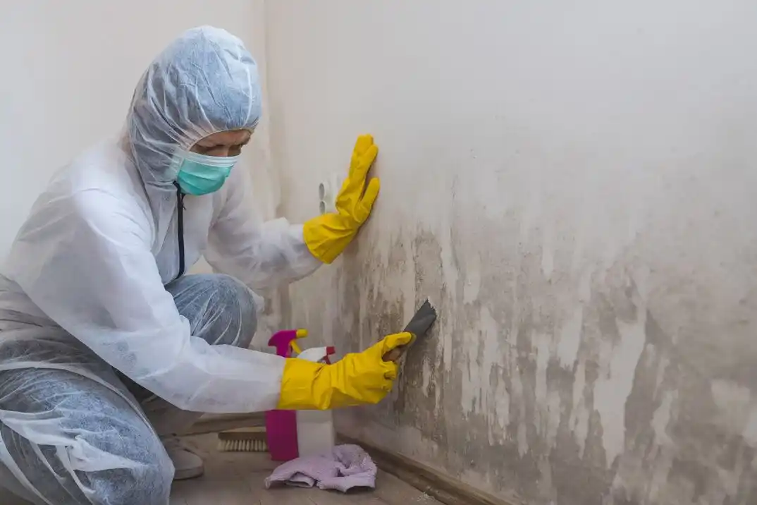 water damage restoration service Fair Haven